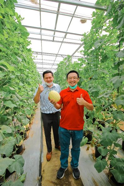 Tunas Agro Persada