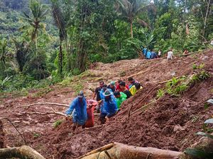 243 Titik Bencana Renggut 5 Korban Jiwa di Bali