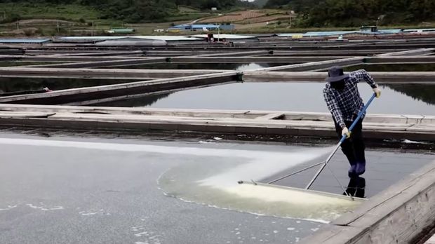 Warga Korea Selatan mulai menimbun garam laut dan barang-barang lainnya dalam jumlah berlebihan. (Tangkapan Layar Video Reuters/E-BRIEFING / SHINAN COUNTY HANDOUT / FOREIGN POOL)