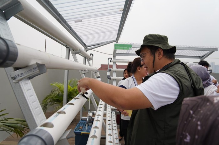 ASDP Berkebun Hidroponik