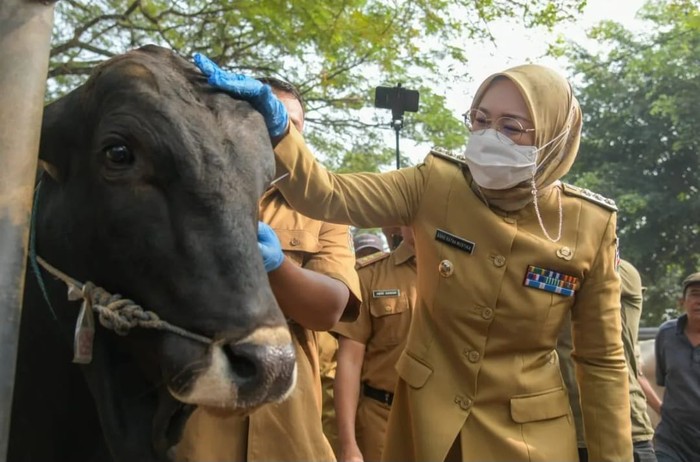Cegah Penularan Antraks, Pemkab Purwarkarta Perketat Lalu Lintas Ternak