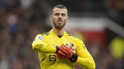 6 Pemain Top Gratisan Musim Panas Ini: De Gea sampai Hummels