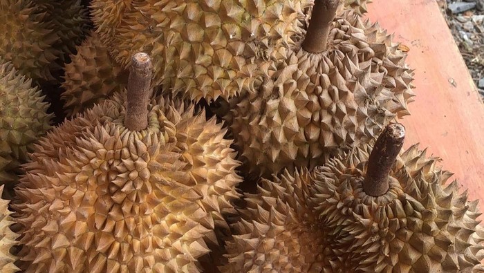 Dirjen Hortikultura Prihasto Setyanto saat mengunjungi festival durian yang berlangsung di Parigi Moutong menyatakan dukungannya untuk mendorong durian lokal untuk ekspor.