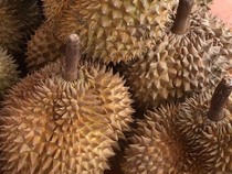 RI Ekspor 459 Ton Durian ke China, Segini Nilainya