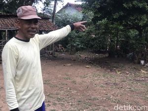 Kesaksian Warga Saat Kejar Pocong Lalu Menghilang di Pohon Pisang