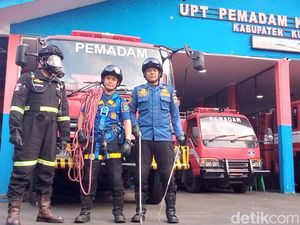 Evakuasi Sapi Jumbo dari Sumur Tua di Gelapnya Malam
