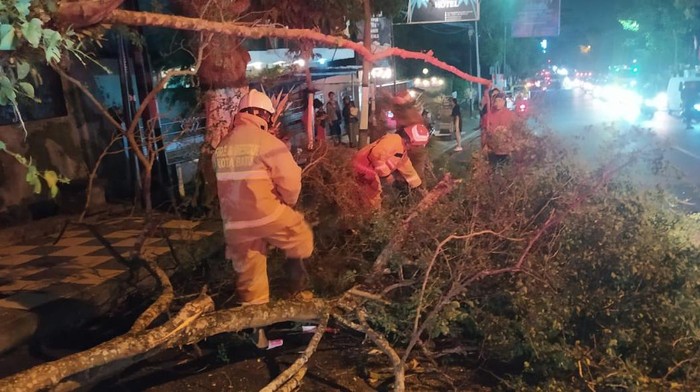 pohon tumbang timpa motor di kota batu
