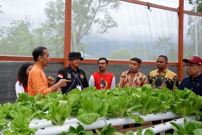 Presiden Joko Widodo (Jokowi) mengapresiasi kegiatan para pemuda Papua di Waibu Agro Eduwisata.