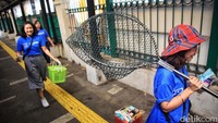 Jika dalam razia ini menemukan kucing sakit, komunitas Lets Adopt Indonesia juga akan mengobatinya. 