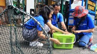 Kegiatan tersebut dilakukan untuk mengurangi over populasi kucing yang ada di Jakarta.  