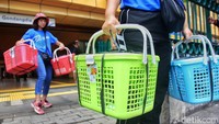Kucing-kucing yang ditangkap dimasukkan ke dalam keranjang. 