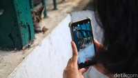 Warga mengabadikan kucing yang berkeliaran di kawasan Stasiun Gondangdia. 