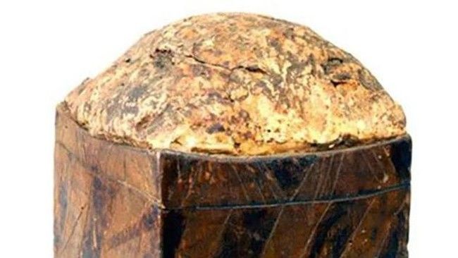 Ribuan Tahun Terkubur! Ini 5 Fosil Makanan yang Berhasil Ditemukan