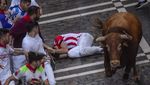 Beradu Lari dengan Banteng Liar di Festival San Fermin