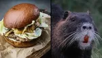 Aneh dan Ekstrem! 10 Burger Ini Disajikan Secara Tak Biasa