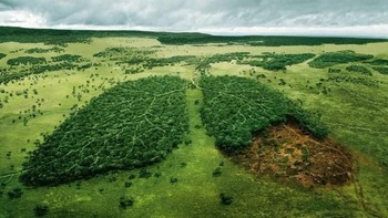 Iklan WWF yang menampilkan paru-paru dunia, mengingatkan agar manusia untuk tetap melestarikan hutan. Foto: Reddit  