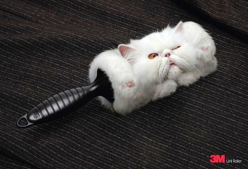 Deretan Iklan yang Super Kreatif dan Unik