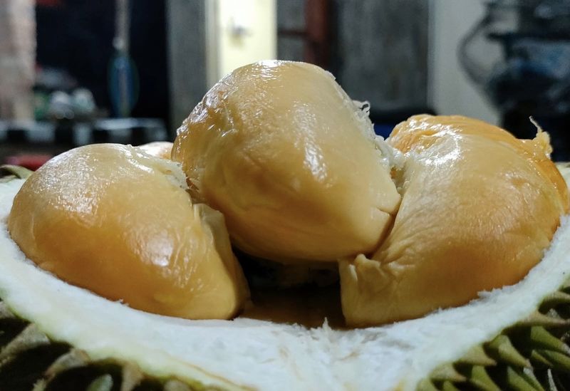 Durian Klamunod