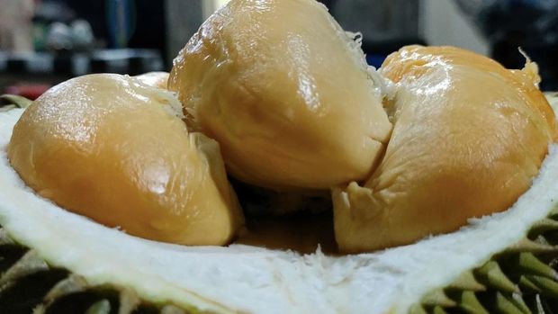 Durian Klamunod