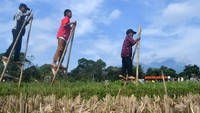 Disparbud Kota Bogor meyelenggarakan Festival Mulyaharja 2023 sebagai ajang untuk memperkenalkan dan menampilkan budaya, kuliner, pemberdayaan ekonomi masyarakat berkelanjutan, bakat serta hobi warga Mulyaharja. 