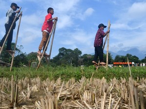 Hari Anak Nasional 2023, Yuk Nostalgia dengan 5 Permainan Tradisional Ini!