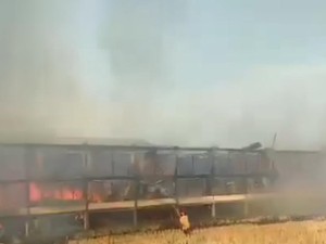 25 Ribu Ayam Mati Dalam Kebakaran Kandang Ternak di Bojonegoro