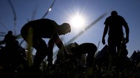 Mereka menelusuri rute yang diambil oleh pria dan anak laki-laki Bosnia ketika mereka mencoba melarikan diri dari Srebrenica setelah direbut oleh pasukan Serbia Bosnia pada hari-hari terakhir perang antaretnis negara itu pada 1990-an. 