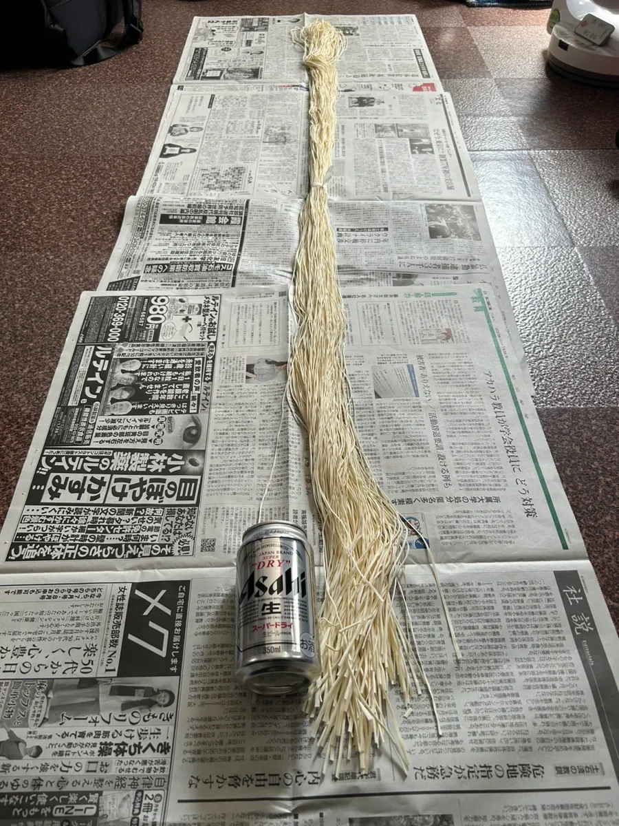 Mie sepanjang 3,6 meter di Jepang