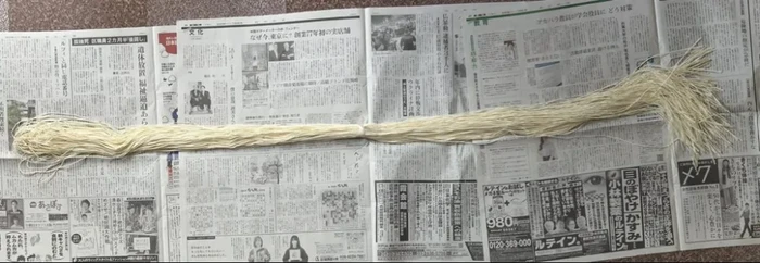 Mie sepanjang 3,6 meter di Jepang