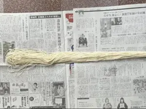 Wow! Mie Asal Jepang Ini Panjangnya Capai 3,6 Meter