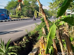 Pemotor Tewas Masuk Selokan di Jalan Jogja-Solo Delanggu