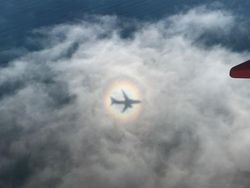 Potret Bayangan yang Bikin Mata Gagal Fokus