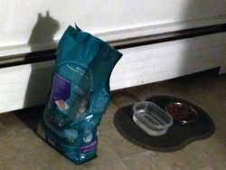 Potret Bayangan yang Bikin Mata Gagal Fokus