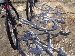 Potret Bayangan yang Bikin Mata Gagal Fokus