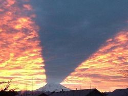 Potret Bayangan yang Bikin Mata Gagal Fokus