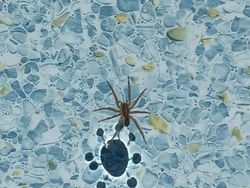 Potret Bayangan yang Bikin Mata Gagal Fokus