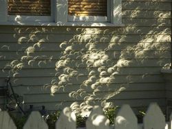 Potret Bayangan yang Bikin Mata Gagal Fokus