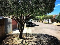 Potret Bayangan yang Bikin Mata Gagal Fokus