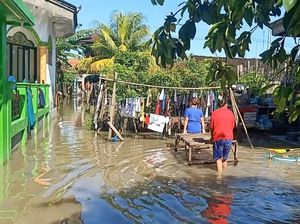 Update! BPBD Bali Catat 243 Titik Bencana, Kerugian Mencapai Rp 2 Miliar