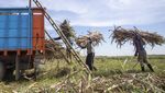 Kementan Targetkan Produksi Gula Nasional 2,74 Juta Ton