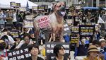Aktivis Hewan Kecam Tradisi Makan Daging Anjing di Korea Selatan