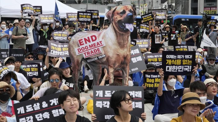 Animal rights activists with a dog image stage a rally opposing South Korea's traditional culture of eating dog meat in Seoul, South Korea, Saturday, July 8, 2023. Some South Koreans eat healthy foods such as dog meat in belief it would help them survive heat during summer, on the day known as “Bok-nal,” which falls on July 11 this year. (AP Photo/Ahn Young-joon)