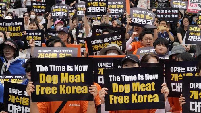 Aktivis Hewan Kecam Tradisi Makan Daging Anjing di Korea Selatan Animal rights activists with a dog image stage a rally opposing South Korea's traditional culture of eating dog meat in Seoul, South Korea, Saturday, July 8, 2023. Some South Koreans eat healthy foods such as dog meat in belief it would help them survive heat during summer, on the day known as βBok-nal,β which falls on July 11 this year. (AP Photo/Ahn Young-joon)