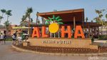 Foto: Spot Kuliner Bergaya Hawaii di Tepi Pantai PIK