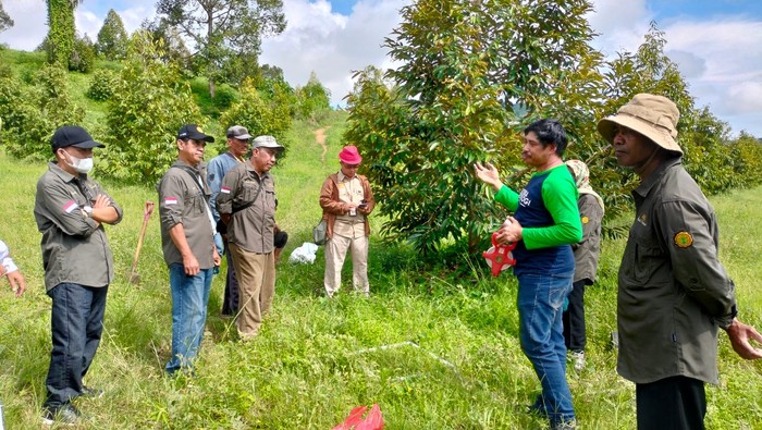 Direktorat Jenderal Hortikultura mengukur stok karbon