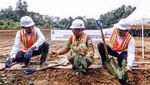 Energi Terbarukan untuk Pembangkit Listrik di Bangka Belitung