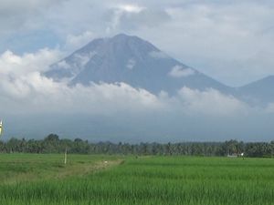 TNBTS Evaluasi Pembukaan Pendakian Semeru Pascakebakaran Hutan