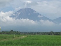 TNBTS Evaluasi Pembukaan Pendakian Semeru Pascakebakaran Hutan