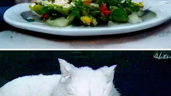 Saat AI diminat membuat lanjutan foto dari meme populer. Foto: Boredpanda