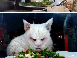 Gambar Hasil Olahan AI yang Gagal, Aneh hingga Bikin Ngakak